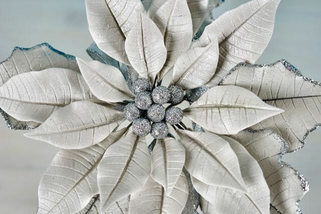10195 CB Sweet Seasons Winter Poinsettia Nicholas Lodge3860 Citi o City 10.27.15 retouched 1280x854