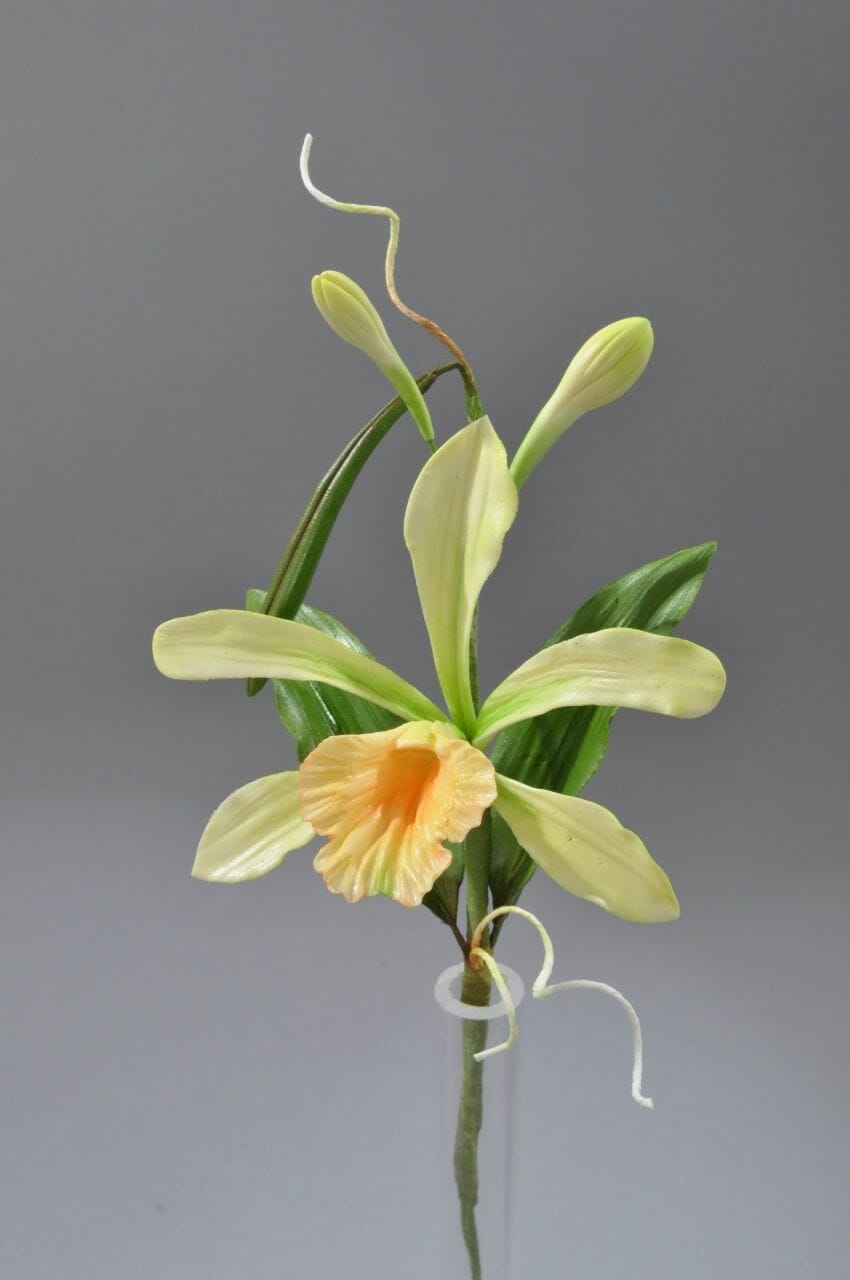 Vanilla-Orchid-850x1280.jpg