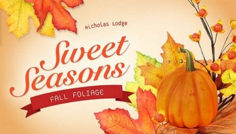 Fantastic Fall Flowers