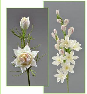 Bride Protea and Tuberose