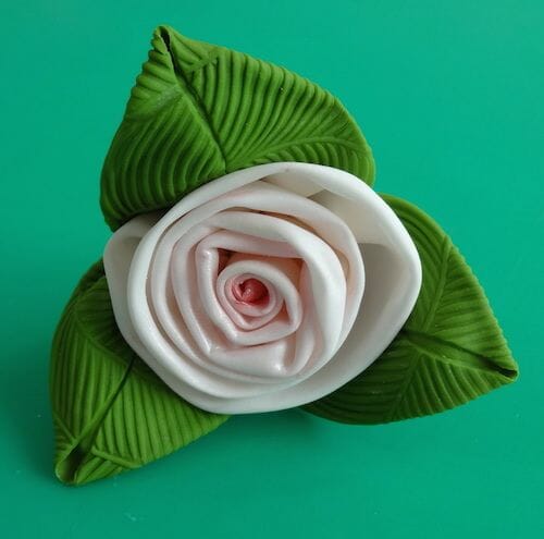 Large rolled rose