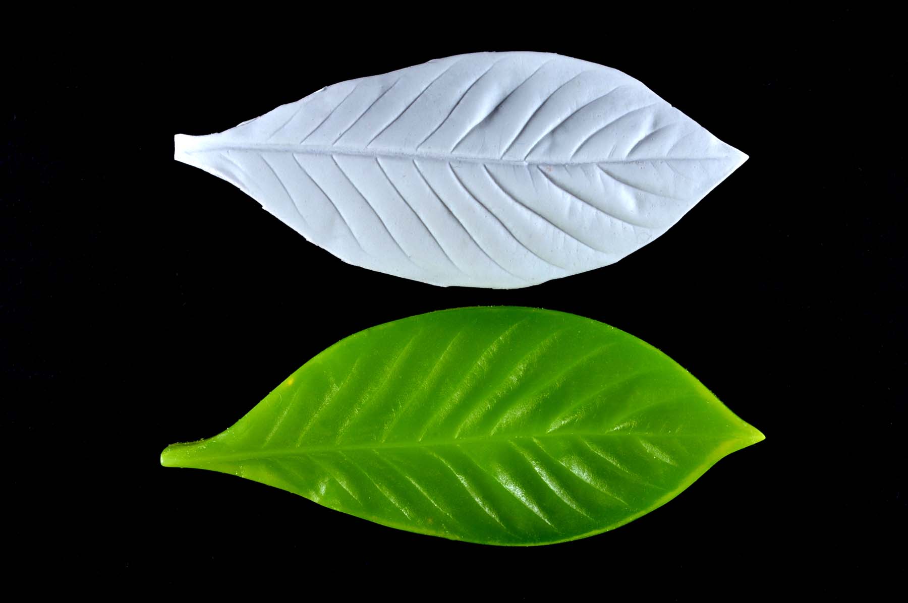 nls1120_nlc.jpg