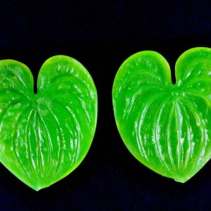 nls345.jpg